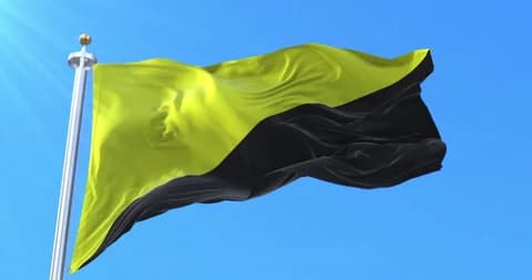 Notas sobre o Anarcocapitalismo