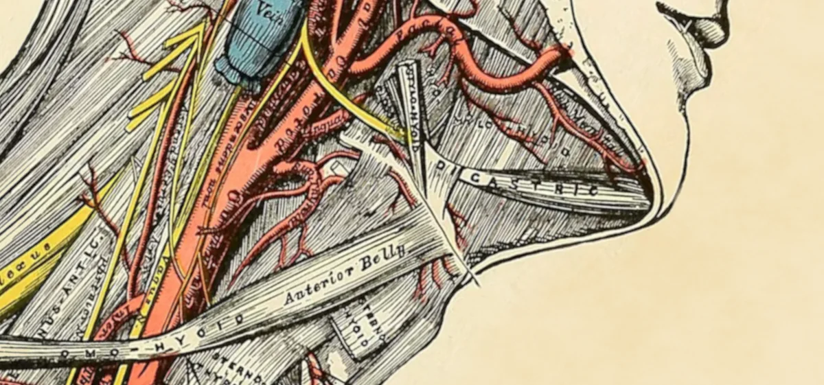 Crítica Rothbardiana ao Conceito de Estado